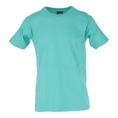 Adult Solid T-shirt Chalky Mint (T-100)